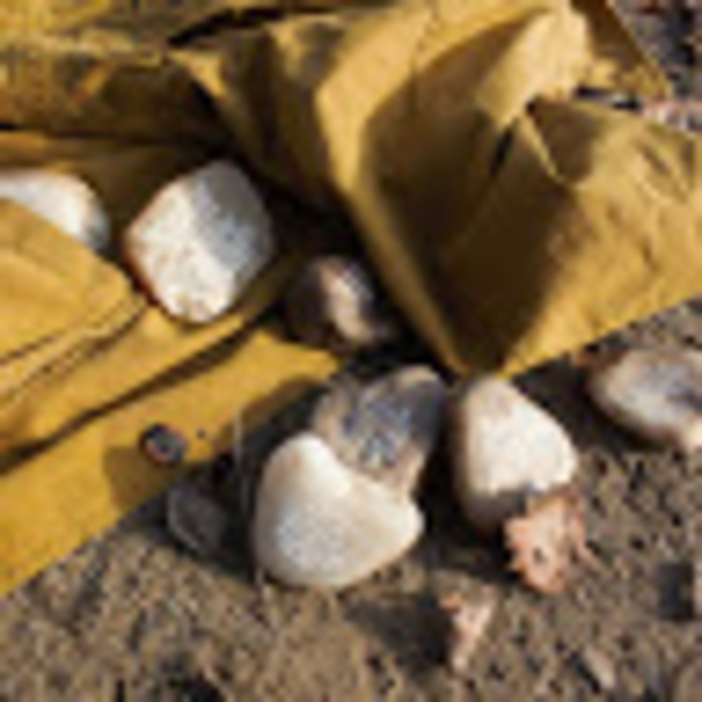 Meet your Posher, Amberly